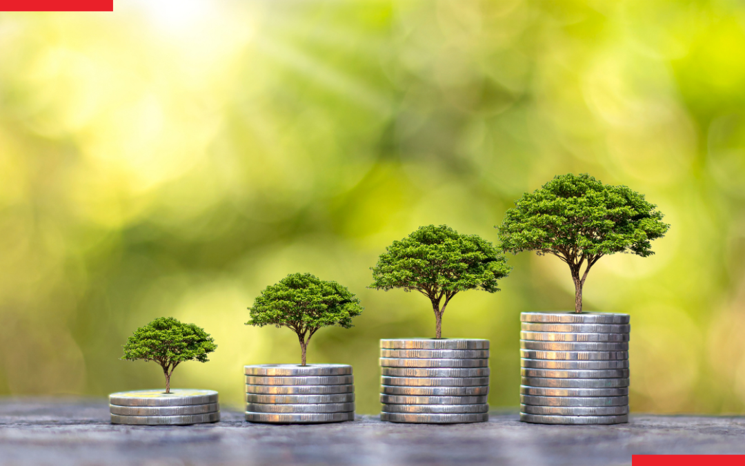 How to Build a Sustainable Business Growth Strategy