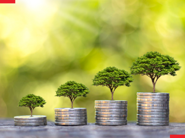 How to Build a Sustainable Business Growth Strategy