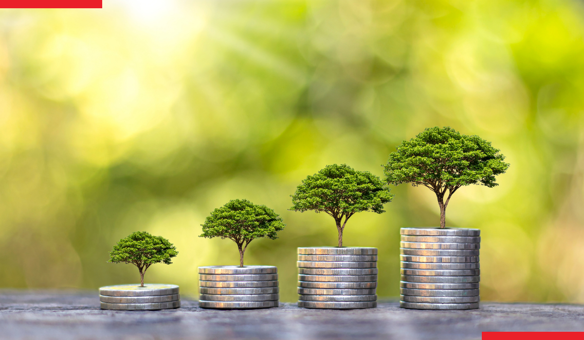 sustainable business growth strategy