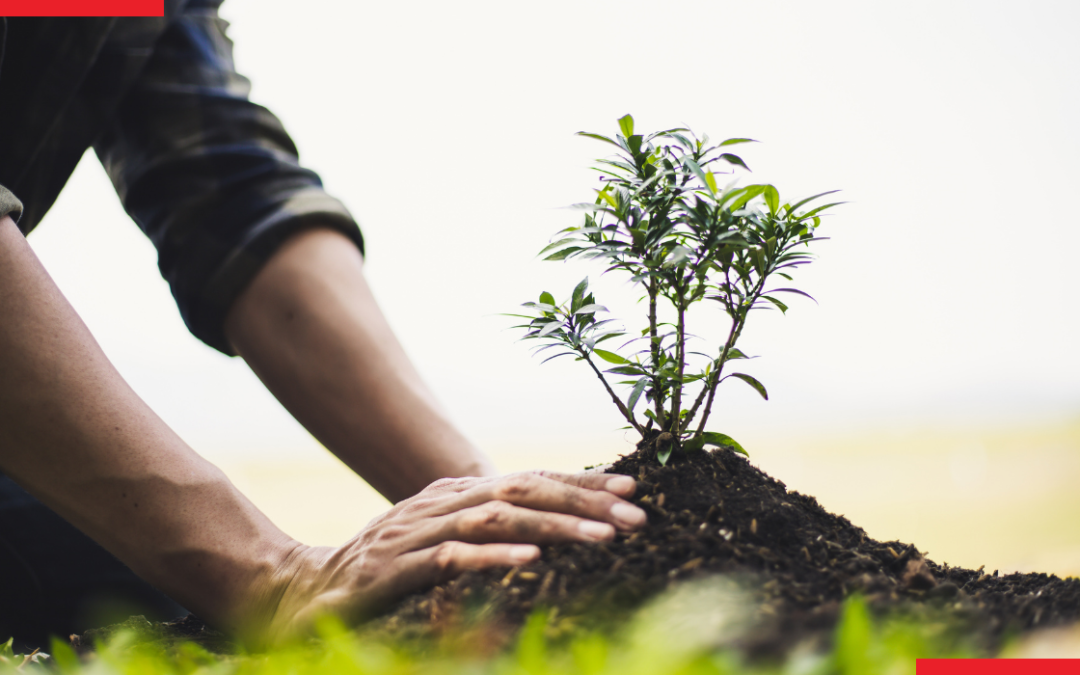 7 Practical Strategies to Achieve Sustainable Organic Sales Growth