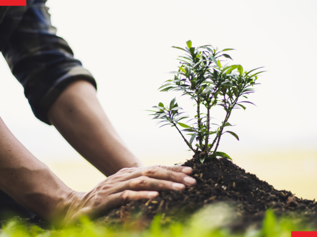 7 Practical Strategies to Achieve Sustainable Organic Sales Growth