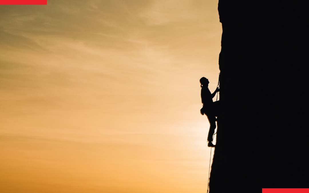 How Process Improvement Can Increase Business Efficiency and Profitability